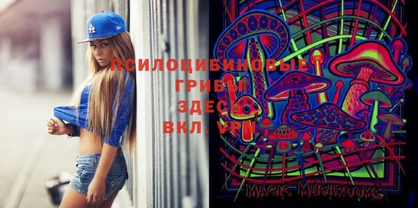 спайс Алексеевка