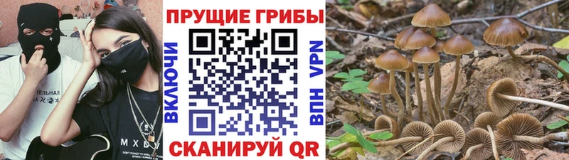 наркотики  Долинск  Псилоцибиновые грибы GOLDEN TEACHER 